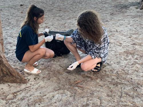 Beach Cleaning